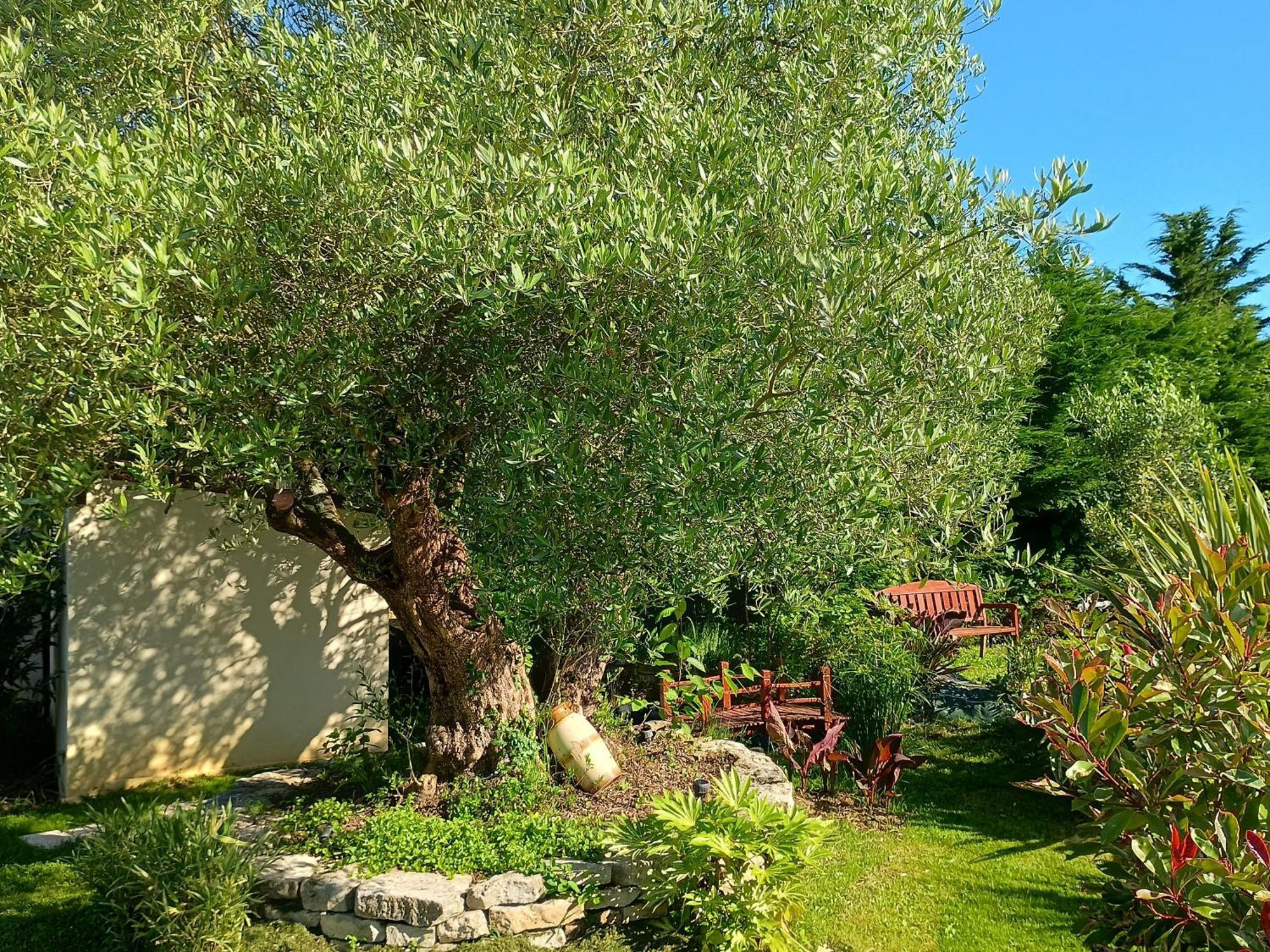 Gite Les Rosiers Au Domaine Des Sauvineries Saint-Germain-de-Princay Luaran gambar